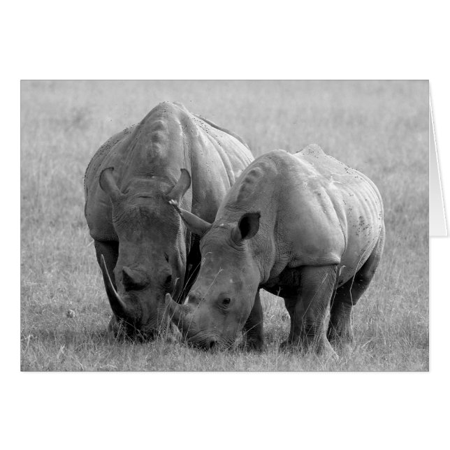 Tarjeta Rhino en blanco y negro (Anverso (Horizontal))