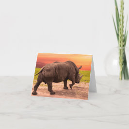 Tarjeta Rhino Sunset