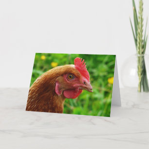 Tarjeta Rhode Island Red Hen