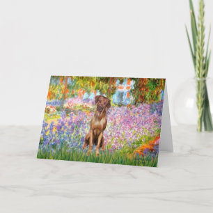 Tarjeta Rhodesian Ridgeback 1 - Jardín