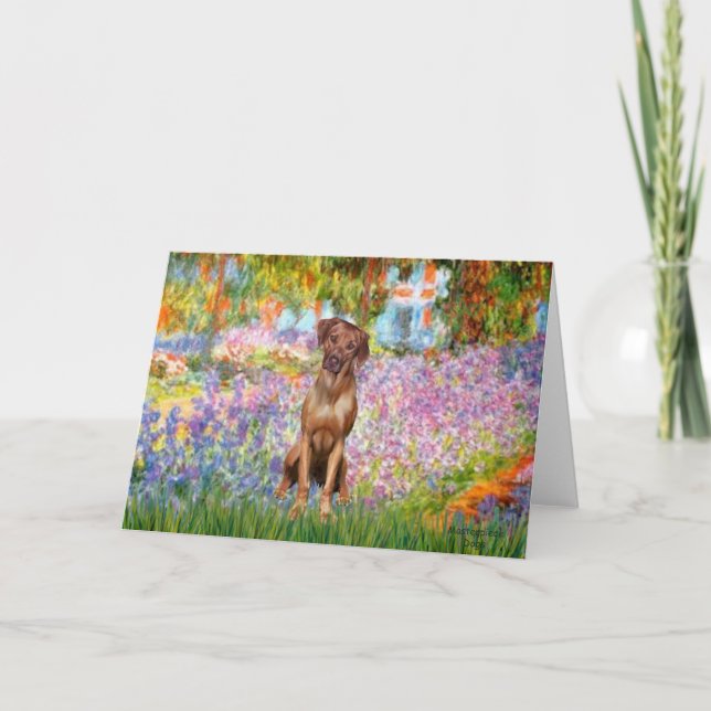 Tarjeta Rhodesian Ridgeback 1 - Jardín (Anverso)