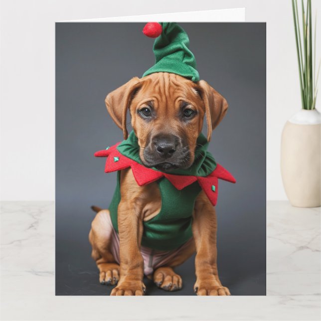 Tarjeta Rhodesian Ridgeback Elf Puppy Navidades (Anverso)