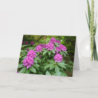 Tarjeta Rhododendron Ponticum