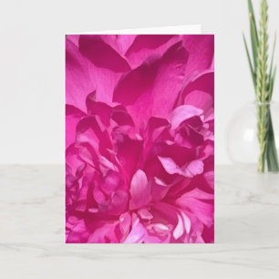 Tarjeta Rhododendron Primer Plano Flor Planta Foto