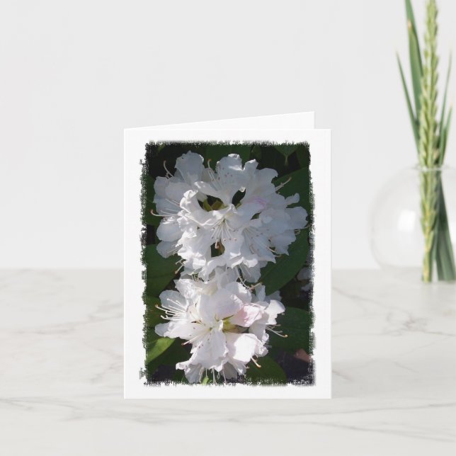 Tarjeta Rhododendros blancos Notecard (Anverso)