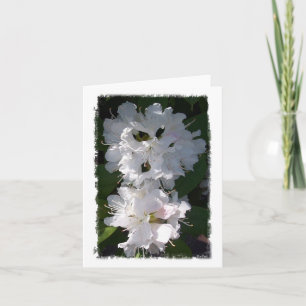 Tarjeta Rhododendros blancos Notecard