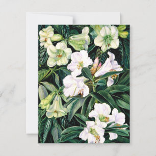 Tarjeta Rhododendros del norte de India