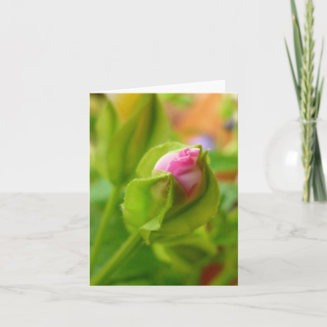 Tarjeta Riesgo al flor (Anverso)