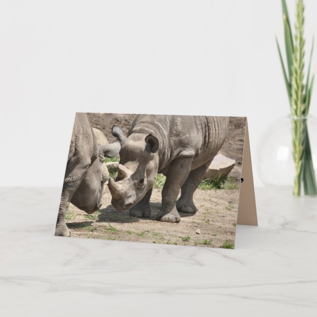 Tarjeta Rinamic Duo (Anverso)