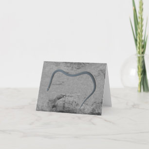 Tarjeta Ringneck Snake Note Card