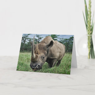 Tarjeta Rinocerontes negros  Kenia