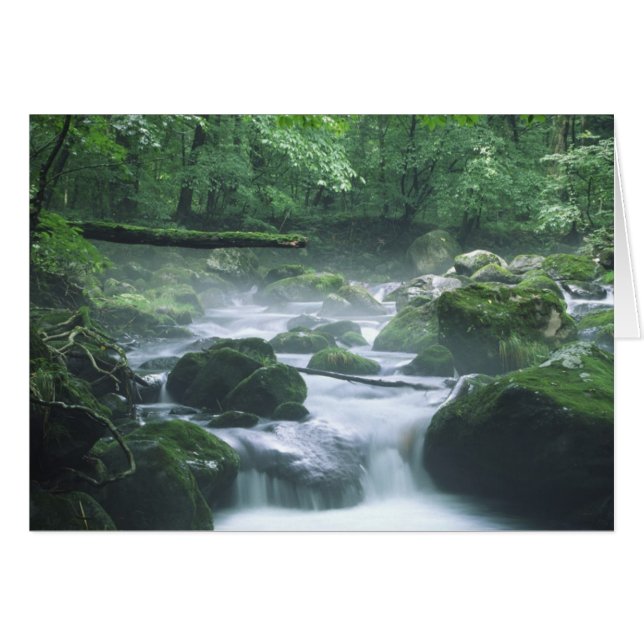 TARJETA - RÍO (Anverso (Horizontal))