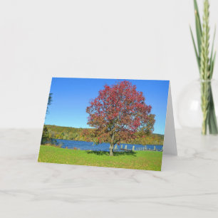 Tarjeta Río Notecard de Connecticut