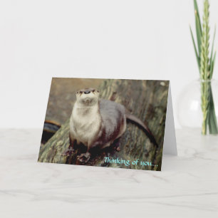 Tarjeta Río Otter, pensando en ti...