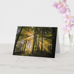 Tarjeta Ríos solares forestales encantados 1