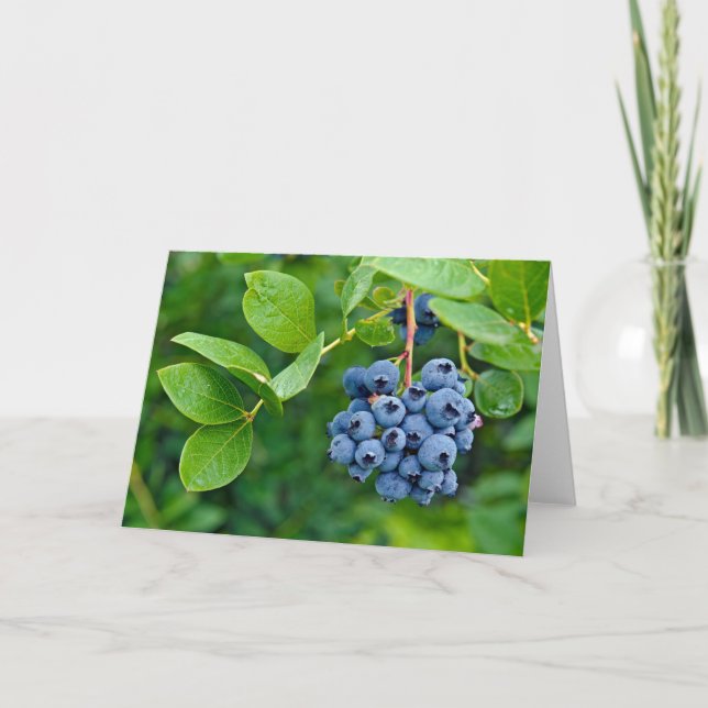Tarjeta Ripe Blueberries (Anverso)