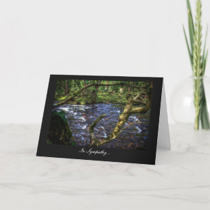 Tarjeta River Dart en Spitchwick - En solidaridad
