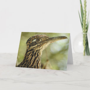 Tarjeta Roadrunner Notecard