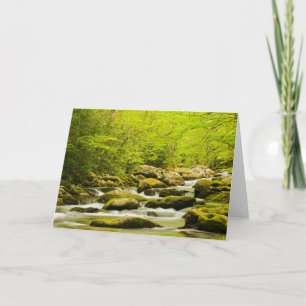 Tarjeta Roaring Fork en primavera