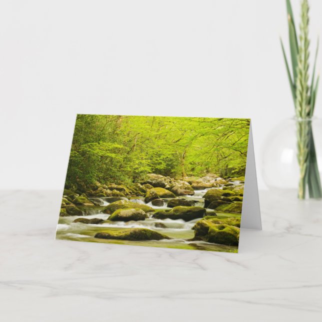 Tarjeta Roaring Fork en primavera (Anverso)