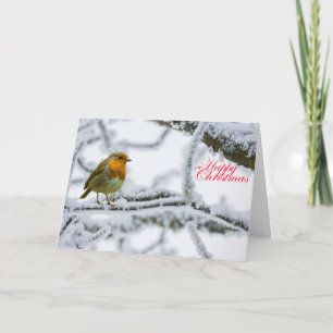 Tarjeta Robbin Redmama