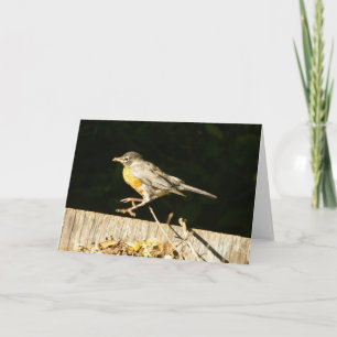 Tarjeta Robin