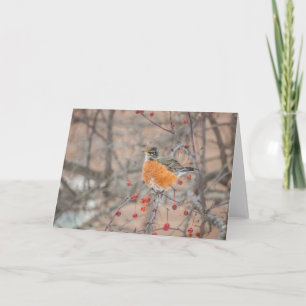 Tarjeta Robin 1 de invierno
