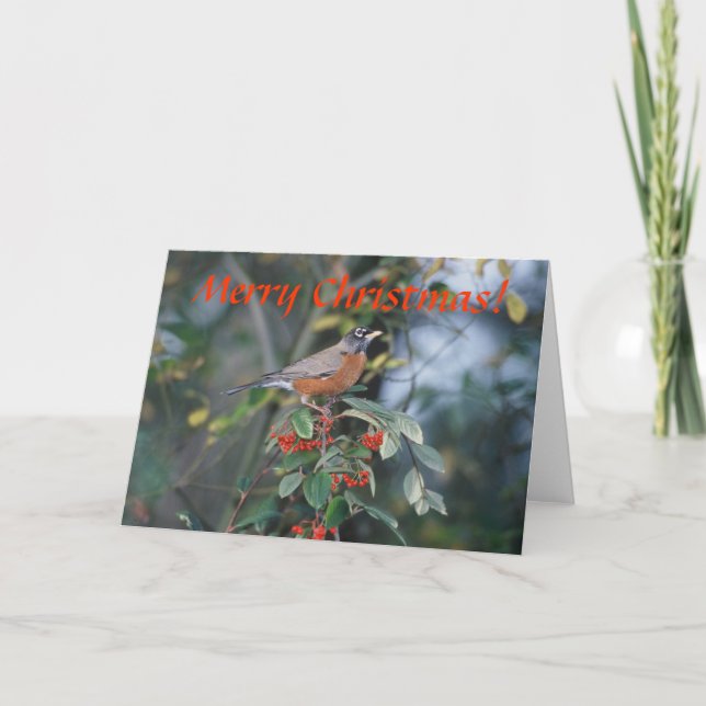 Tarjeta / Robin americano / Navidades (Anverso)
