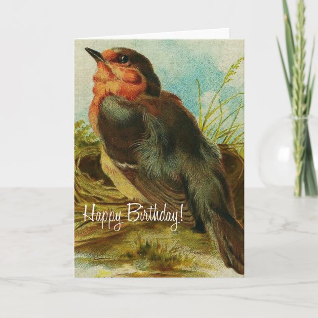 Tarjeta Robin Birthday (Anverso)