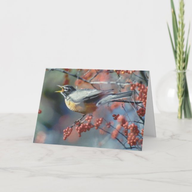 Tarjeta Robin comiendo berry (Anverso)