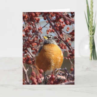 Tarjeta Robin de invierno - Día del Padre