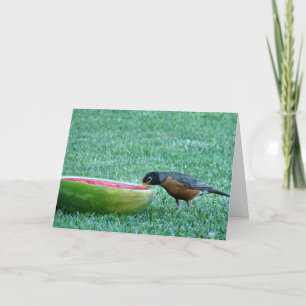 Tarjeta Robin Enjoys Watermelon, 4 de julio