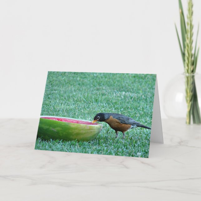 Tarjeta Robin Enjoys Watermelon, 4 de julio (Anverso)