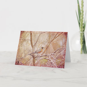 Tarjeta Robin Illustrated Scripture Card Matthew 6:26