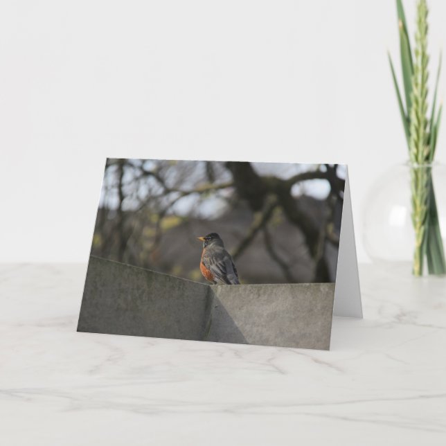 Tarjeta Robin on Wall (Anverso)