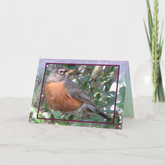 Tarjeta Robin Red Breast Card