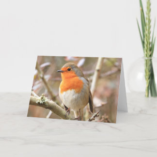 Tarjeta Robin Redmama