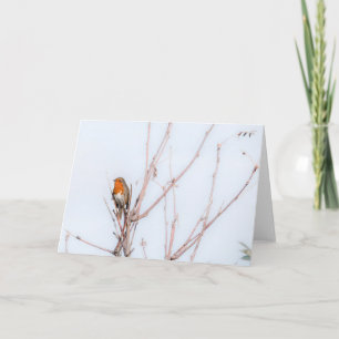 Tarjeta Robin Redmama Note