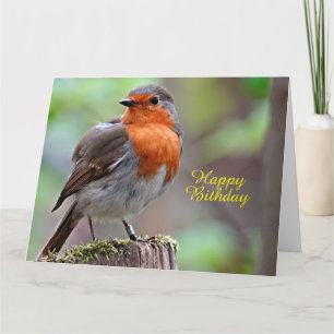 Tarjeta Robin Refmama