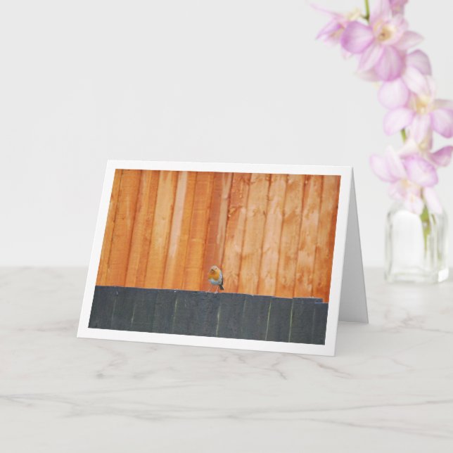 Tarjeta Robin Rojo Sobre La Vecina (Orquídea)