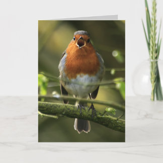 Tarjeta Robin Song