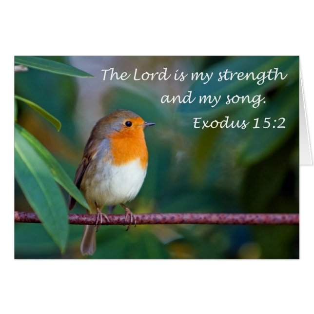 Tarjeta Robin Song (Anverso (Horizontal))