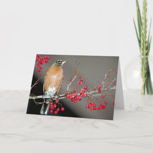 Tarjeta Robin y Berries Rojos de Estados Unidos (Anverso)