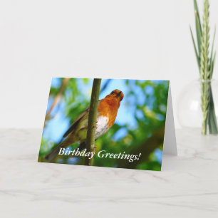 TARJETA ROBINS