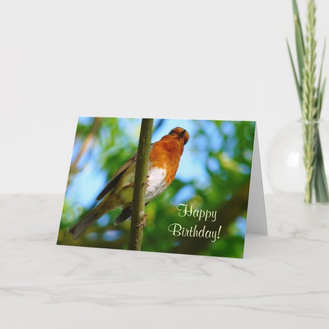 TARJETA ROBINS (Anverso)
