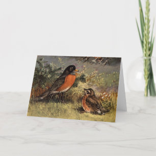 Tarjeta Robins de Brooks