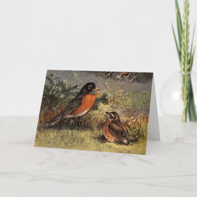 Tarjeta Robins de Brooks (Anverso)