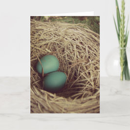 Tarjeta Robins Eggs Easter Card