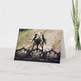 Tarjeta Roca de la Agonía, Jerusalén, Israel - color, tarj