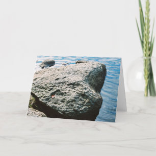 Tarjeta Roca del hogar